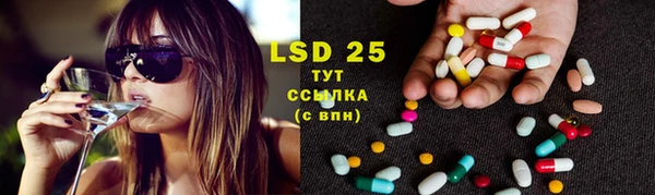 PSILOCYBIN Верхний Тагил