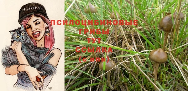 PSILOCYBIN Верхний Тагил