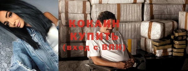 крисы Верея