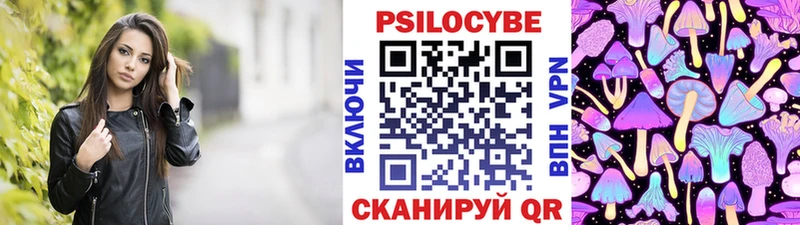 хочу   Мглин  Галлюциногенные грибы прущие грибы 